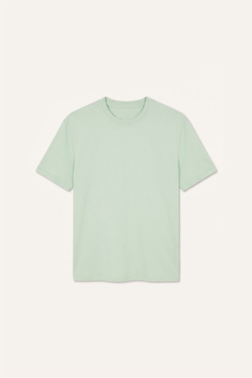 Erkek Mint Regular Fit Kısa Kollu Tişört