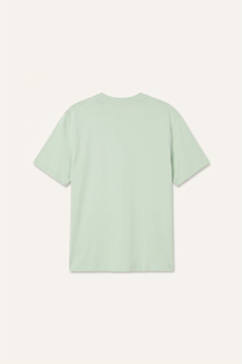 Erkek Mint Regular Fit Kısa Kollu Tişört