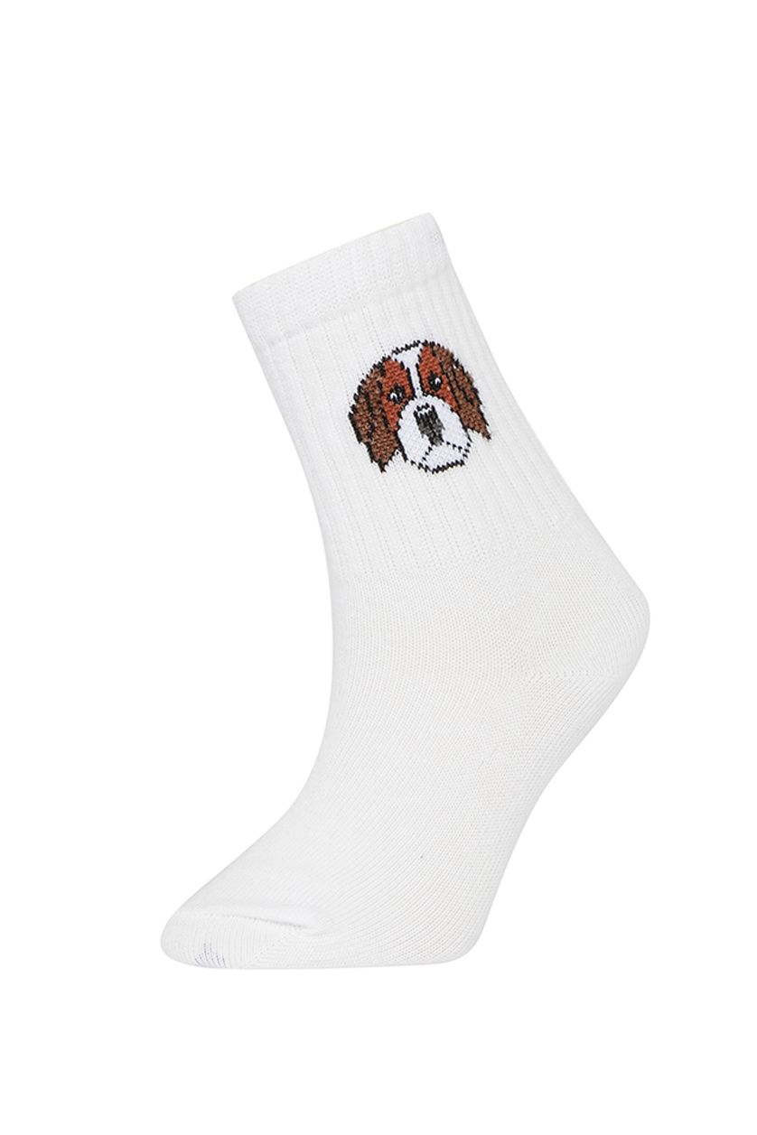 Erkek Çocuk - Genç Erkek Karma Erkek Çocuk Hayvan Desenli 5'li Pamuklu Uzun Çorap