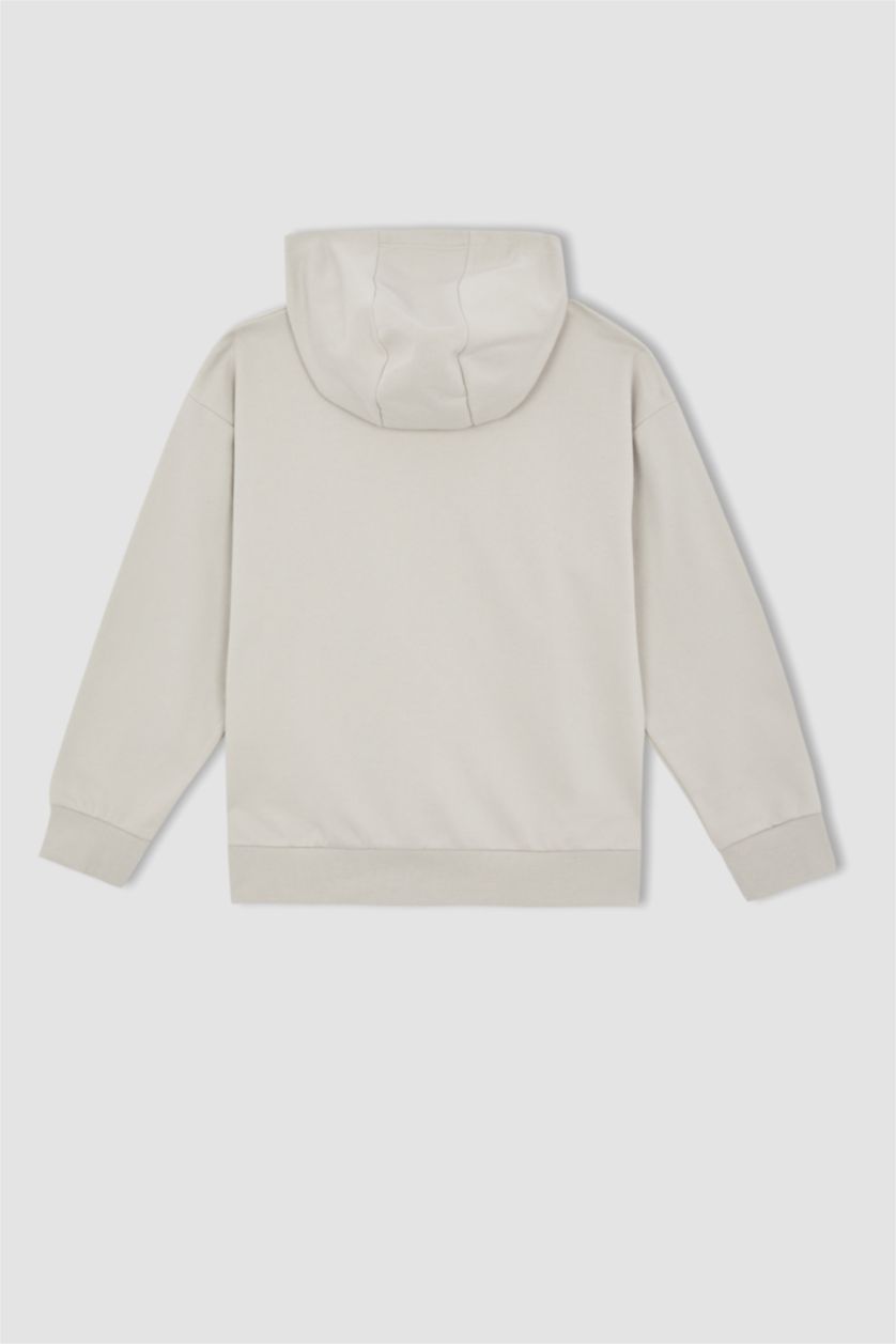 Erkek Çocuk - Genç Erkek Taş Erkek Çocuk Looney Tunes Lisanslı Regular Fit Kapüşonlu Kanguru Cepli Sweatshirt