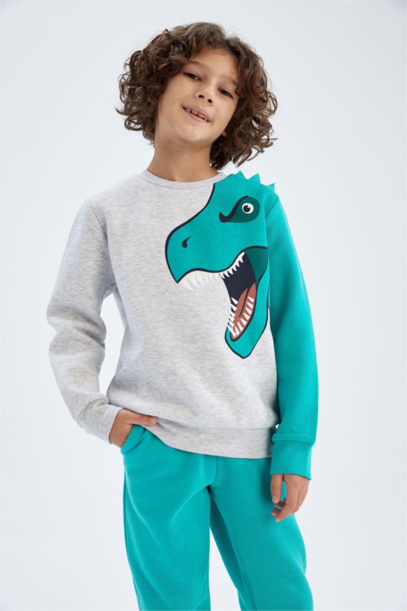 GARÇONS Gris Clair Sweat Garçon En Tissu Épais, Coupe Regular, Col Rond