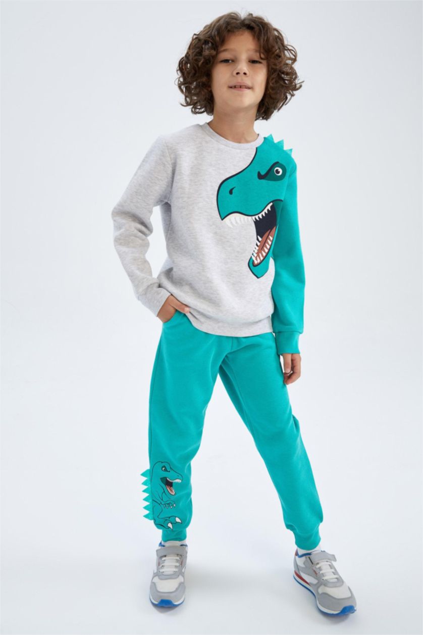 GARÇONS Gris Clair Sweat Garçon En Tissu Épais, Coupe Regular, Col Rond