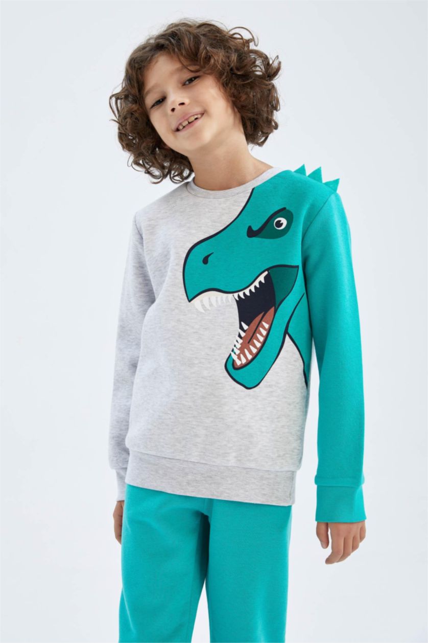 GARÇONS Gris Clair Sweat Garçon En Tissu Épais, Coupe Regular, Col Rond