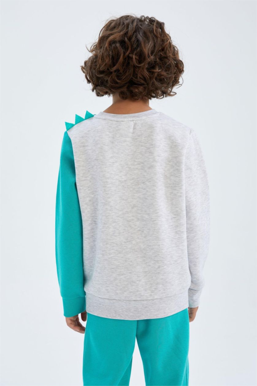 GARÇONS Gris Clair Sweat Garçon En Tissu Épais, Coupe Regular, Col Rond