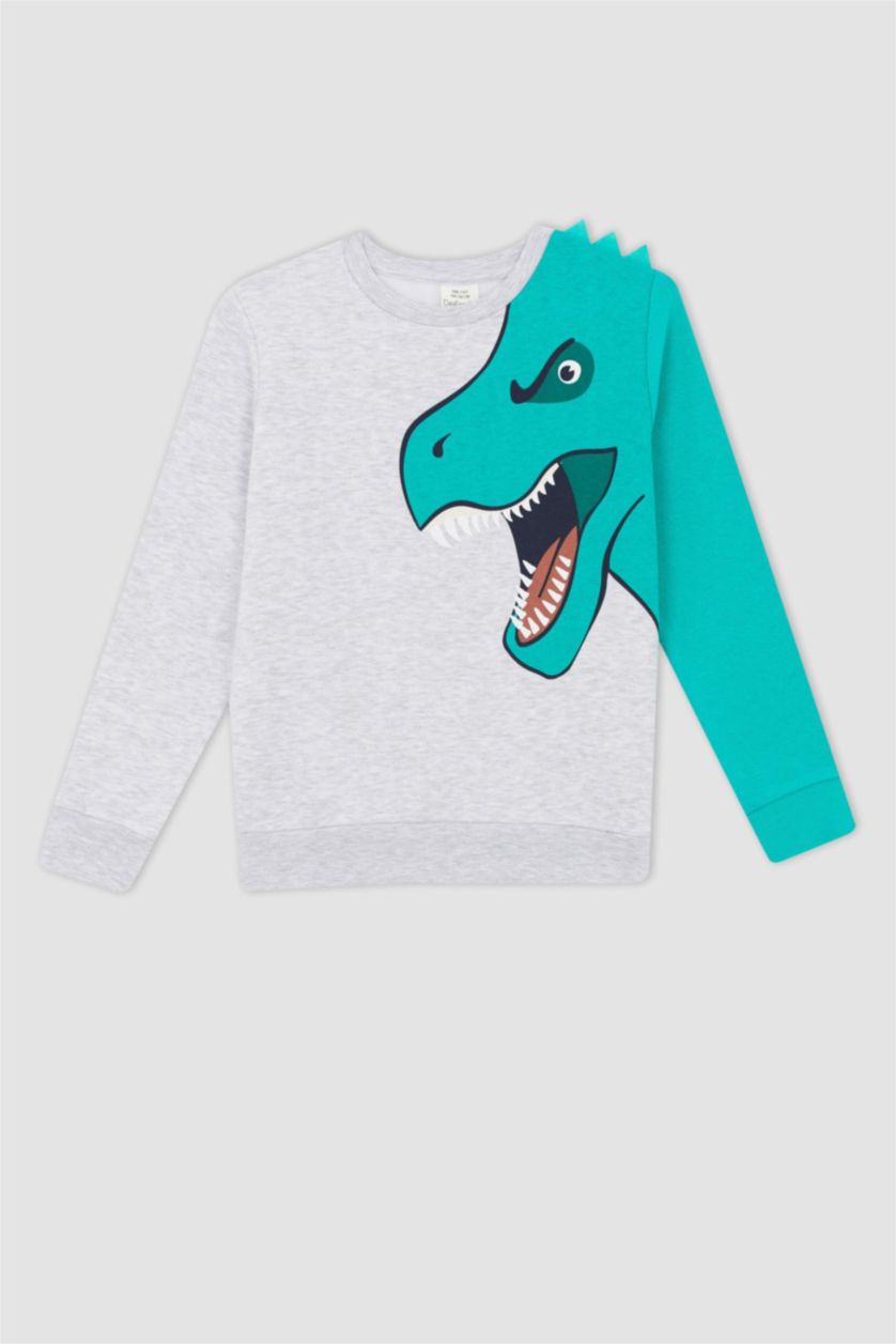 GARÇONS Gris Clair Sweat Garçon En Tissu Épais, Coupe Regular, Col Rond