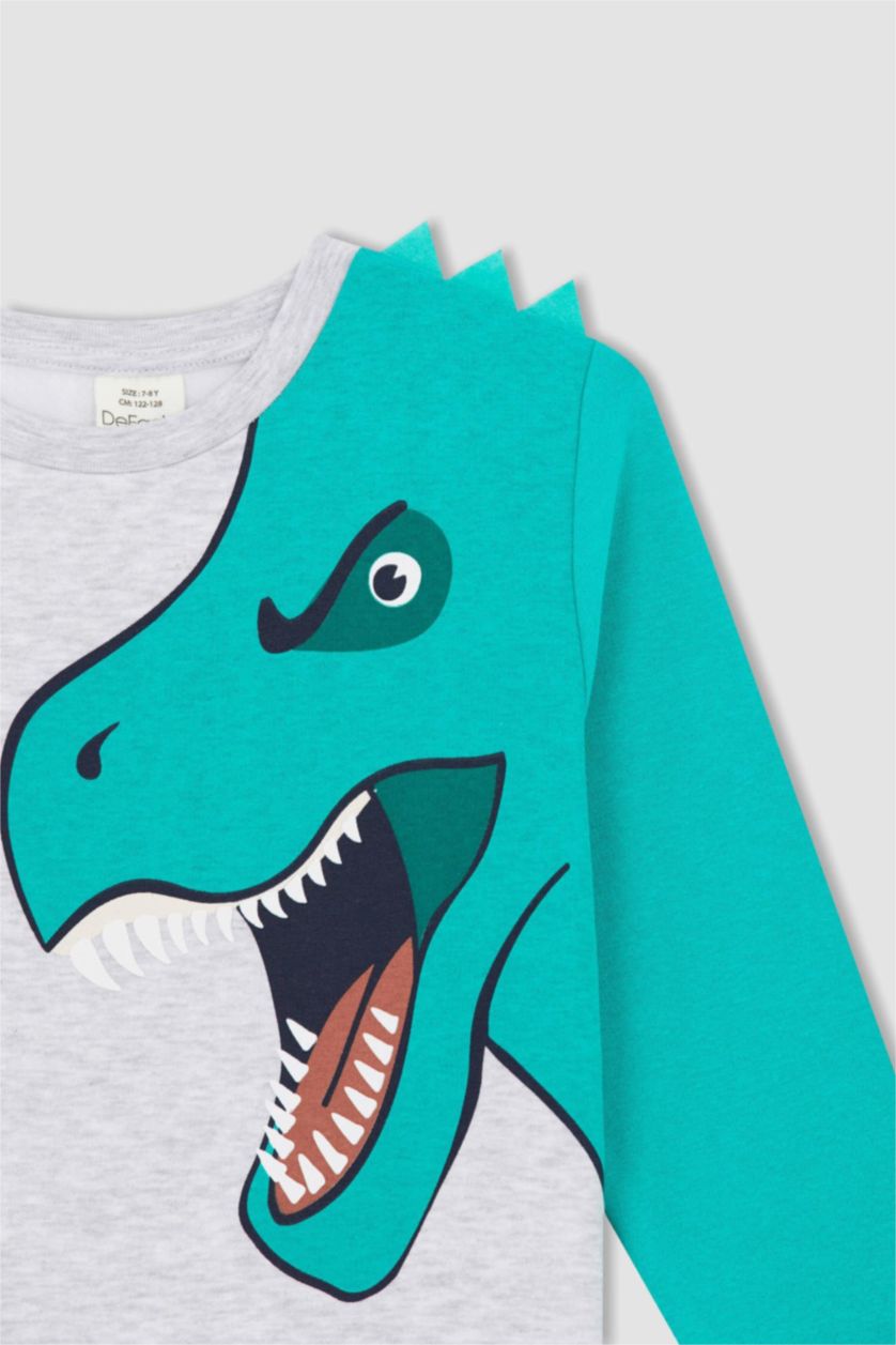 GARÇONS Gris Clair Sweat Garçon En Tissu Épais, Coupe Regular, Col Rond