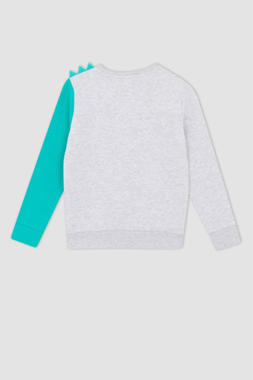 GARÇONS Gris Clair Sweat Garçon En Tissu Épais, Coupe Regular, Col Rond