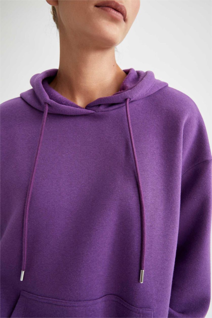 Женщины Слиловый Худи свободного кроя с флисовой изнанкой