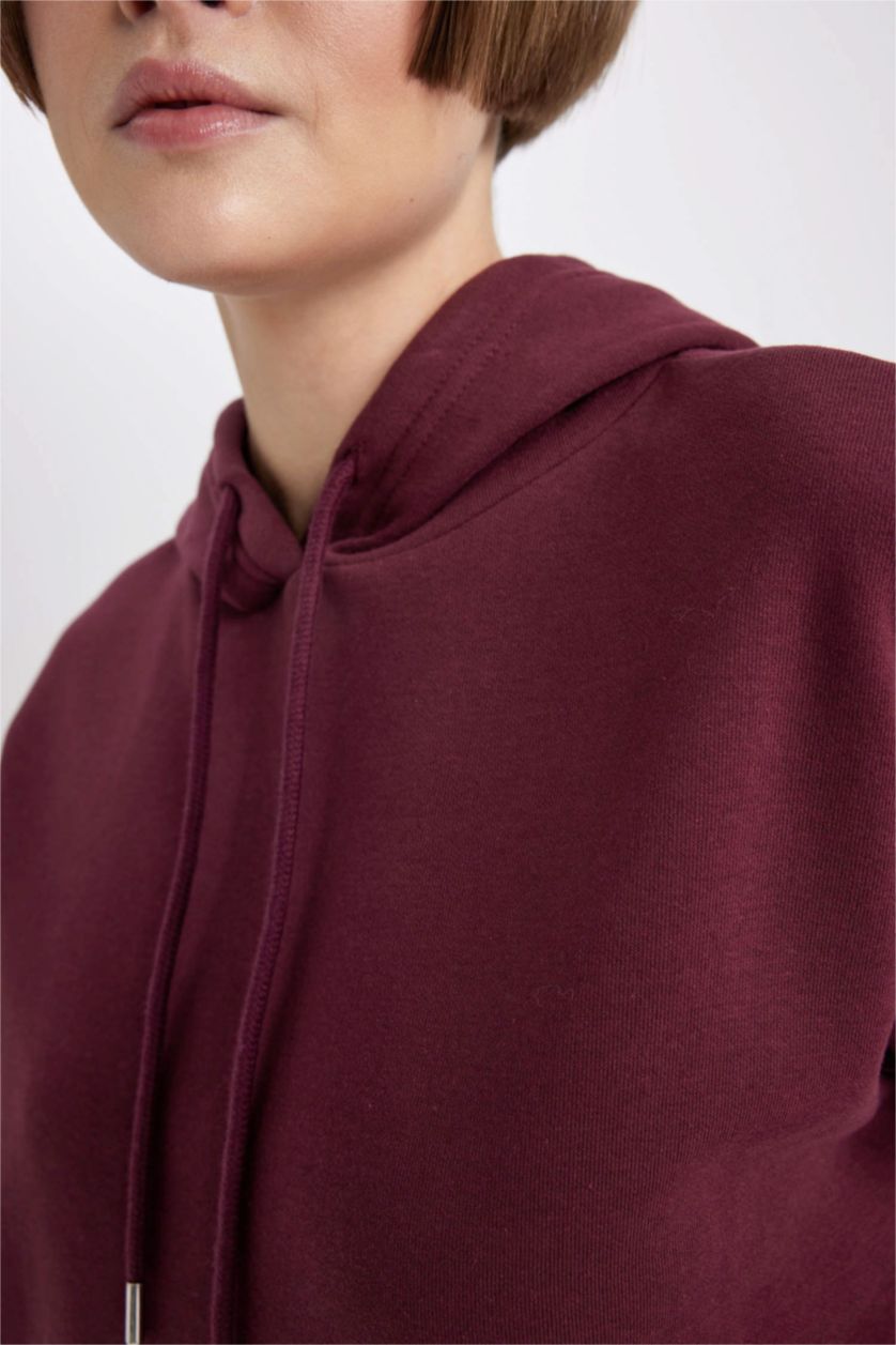 نساء خمري سويت شيرت قصة مريحة بغطاء للرأس