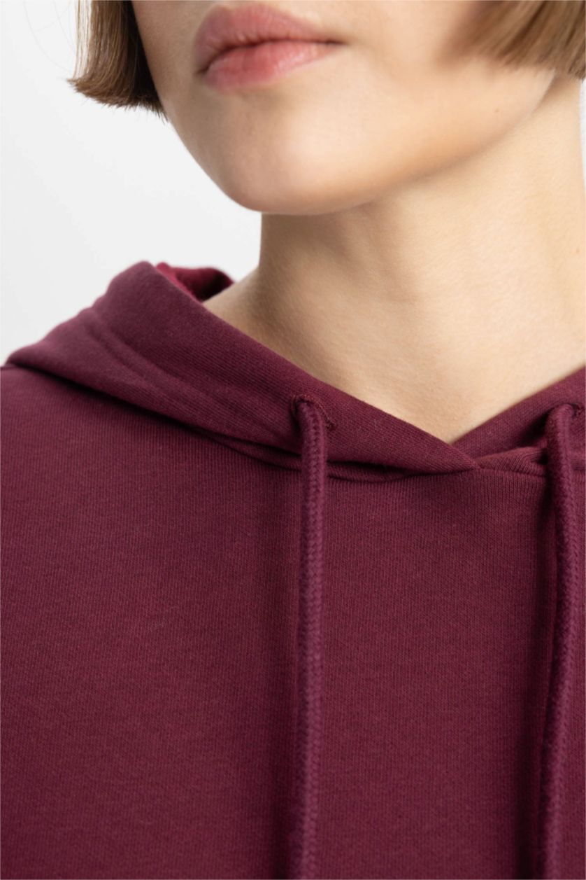 نساء خمري سويت شيرت قصة مريحة بغطاء للرأس