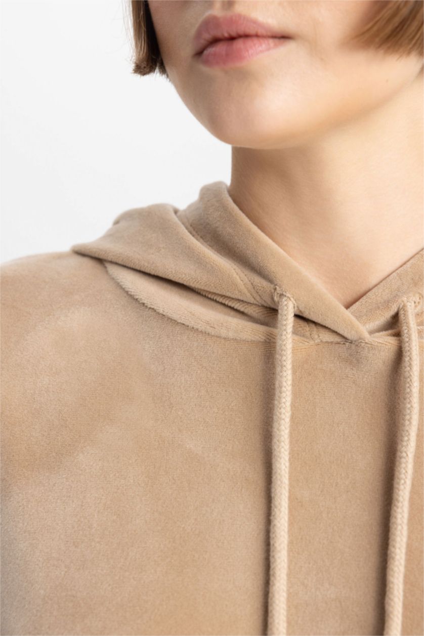 WOMAN Beige Regular Fit Hooded Basic Velvet Sweatshirt