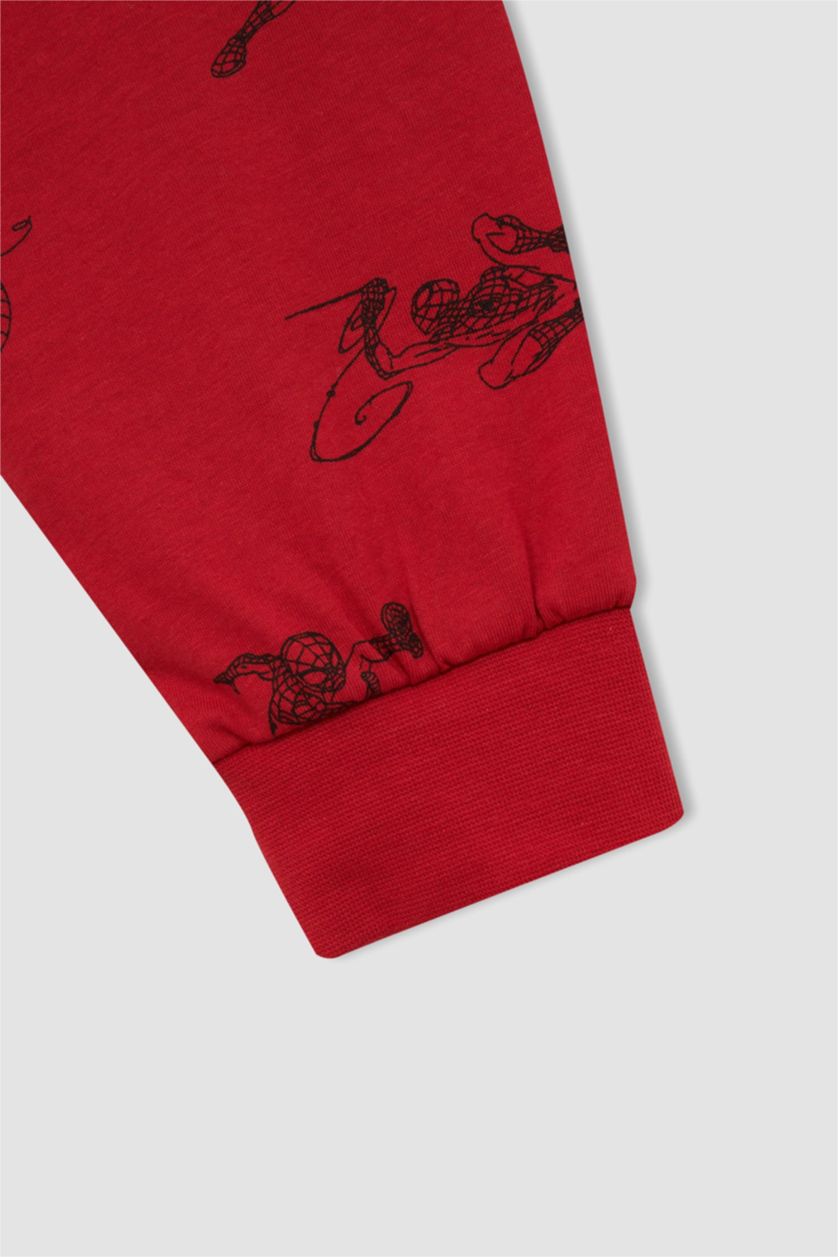 Хлопчачий Світло-сірий меланж Піжама