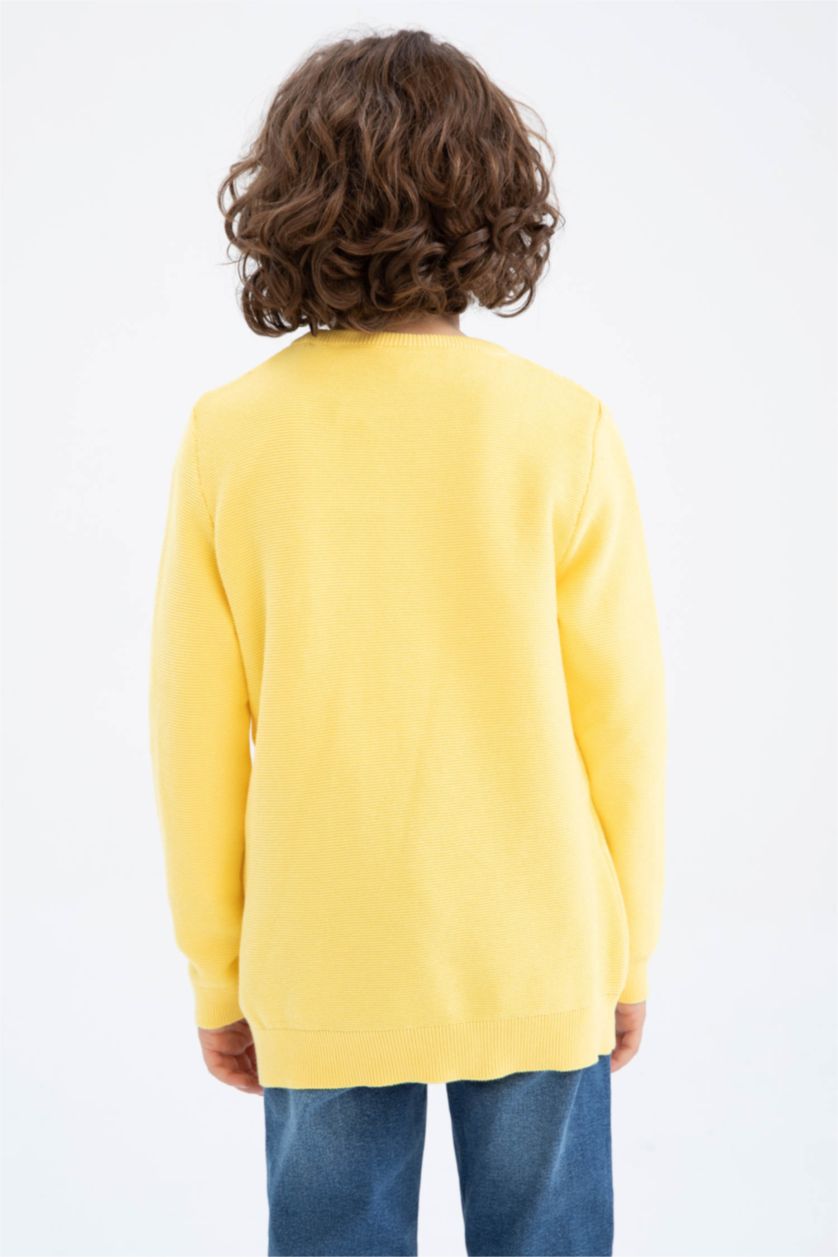 Мальчики и подростки Темно-желтый Пуловер стандартного кроя с круглым вырезом из хлопка для мальчиков