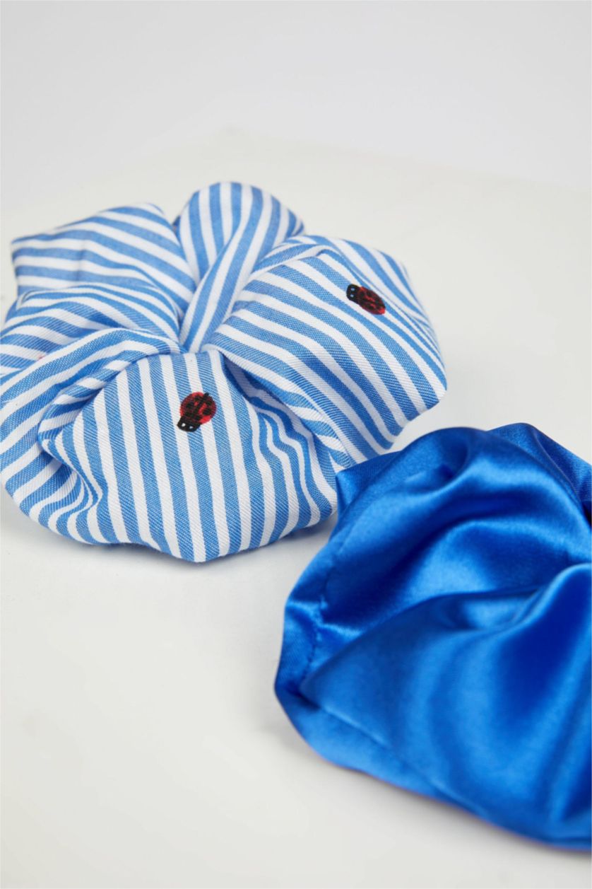 Kadın Karma Lastikli Çizgili 2'li Saç Tokası