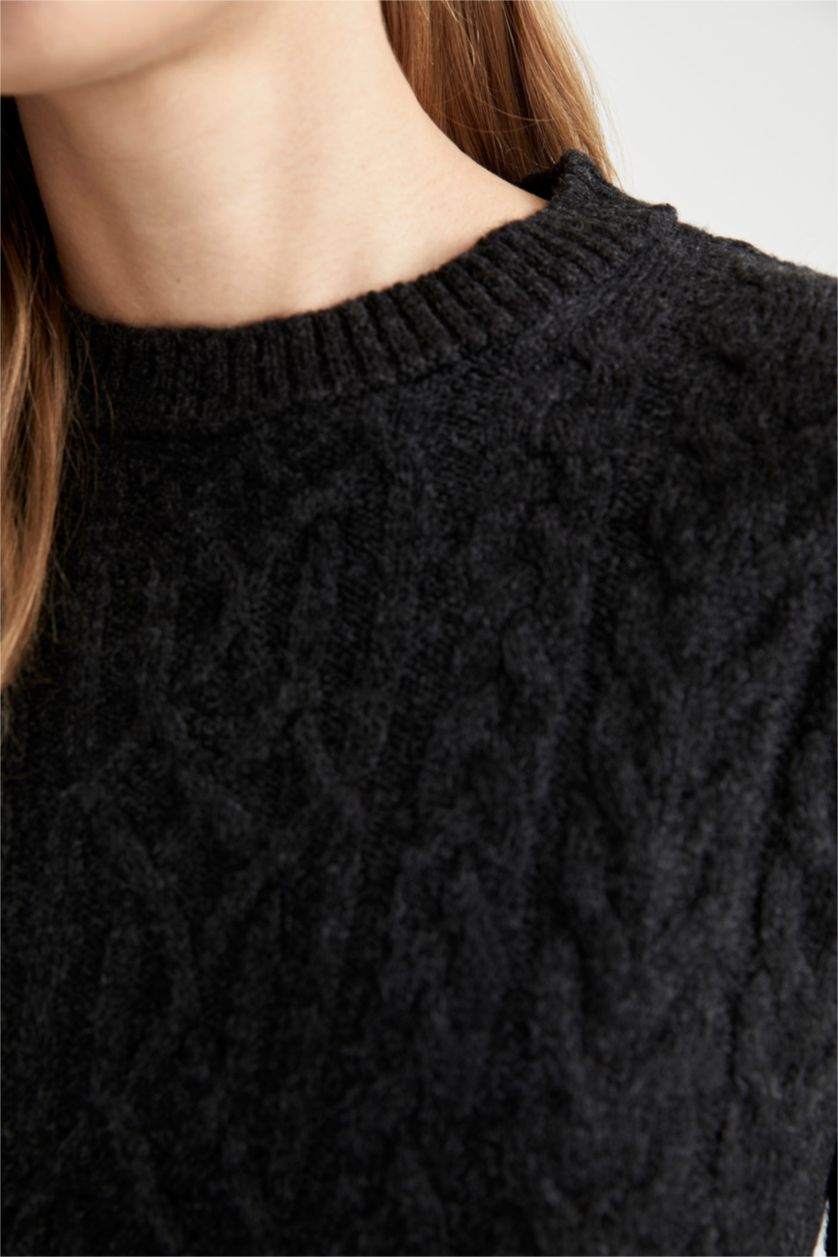 WOMAN Black Regular Fit Crew Neck Dress