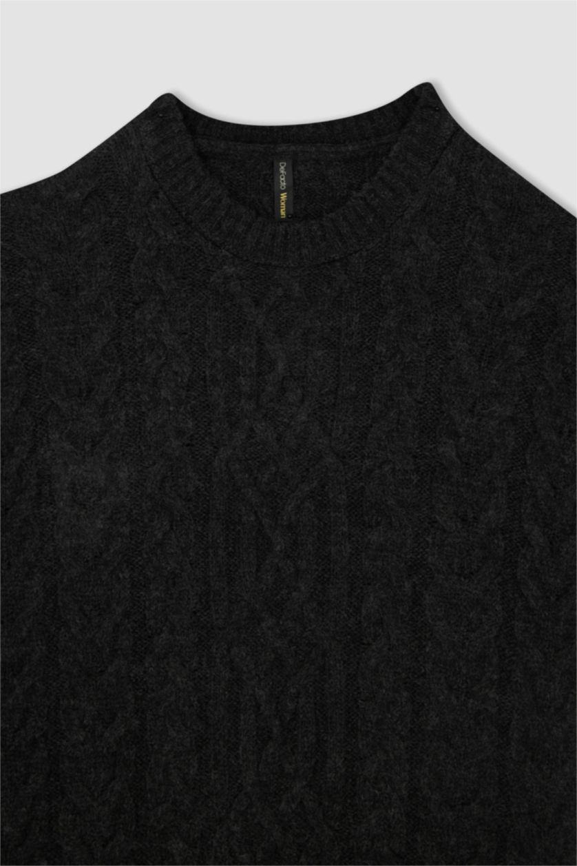 WOMAN Black Regular Fit Crew Neck Dress