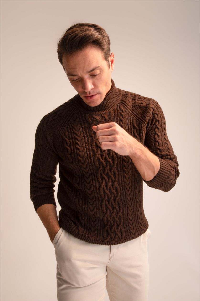 HOMME Marron Pull Col roulé