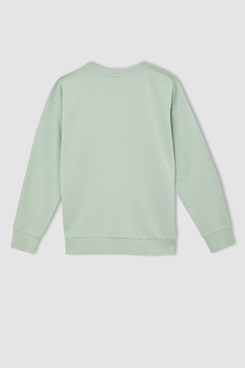 Хлопчачий Мятний Світшоти