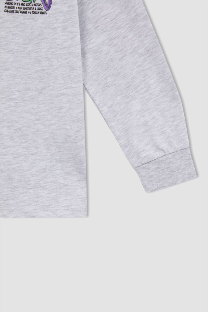 BOYS & TEENS Light Grey Melange Boy Oversized Fit Long Sleeve Printed Sweatshirt