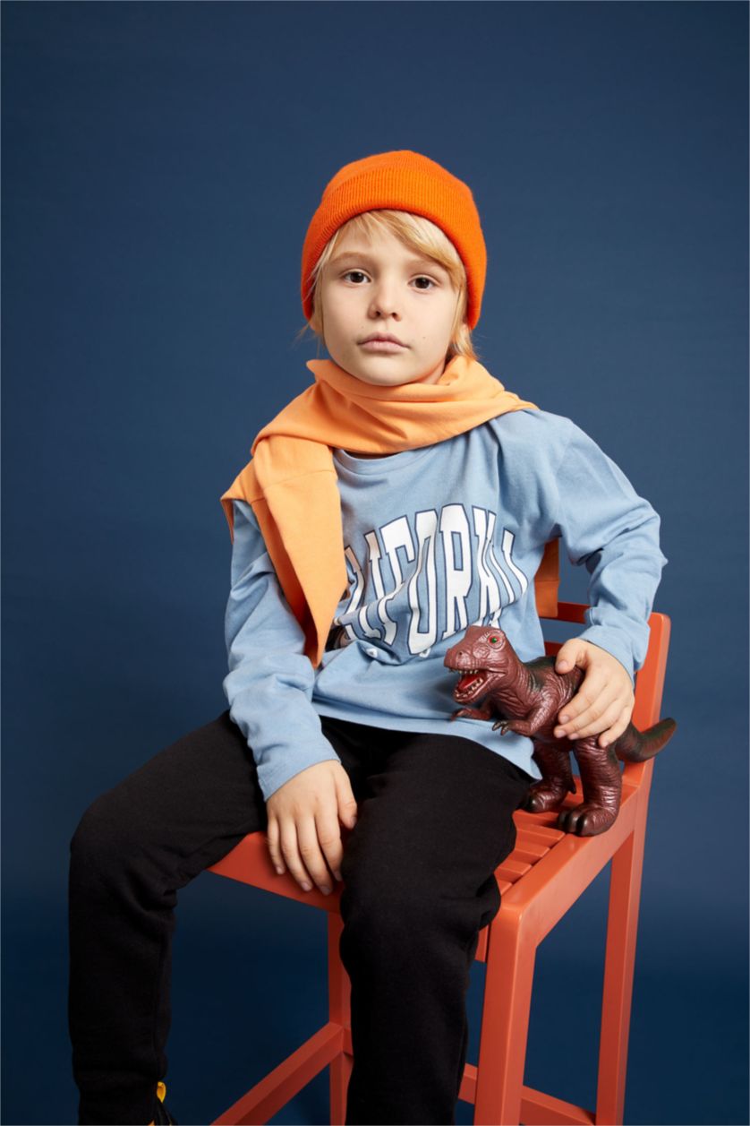 Хлопчачий Світло синій Футболки