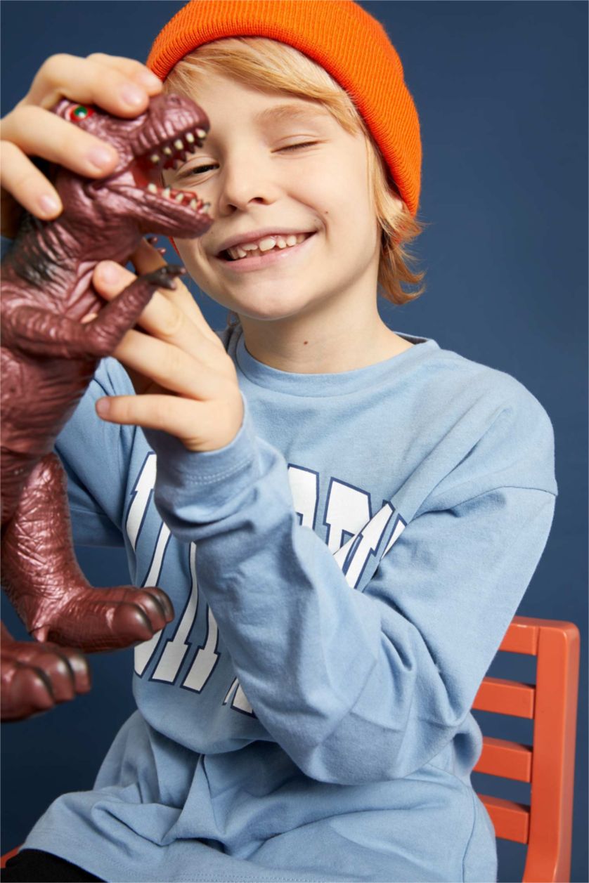 Хлопчачий Світло синій Футболки