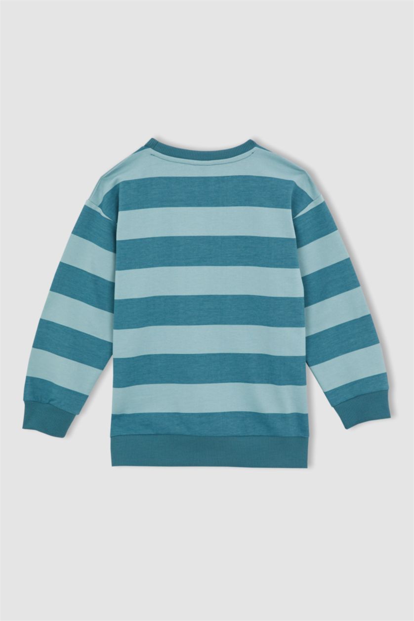 Хлопчачий Світло синій Світшоти