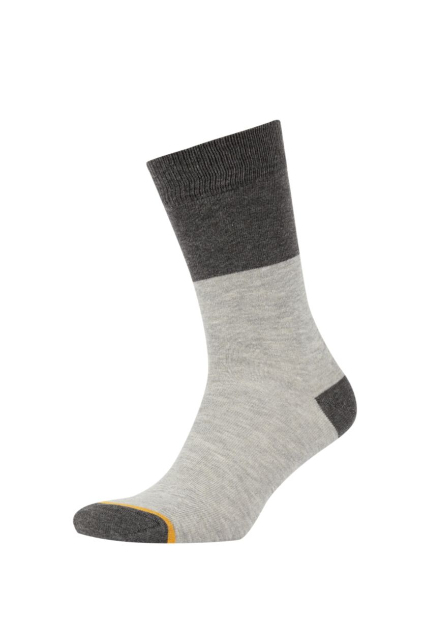 MAN MIXED 5 Piece Cotton Long sock