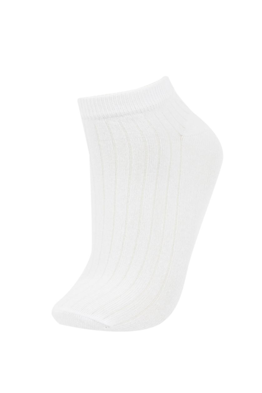 Kadın Karma Kadın 5'li Pamuklu Derbi Patik Çorap