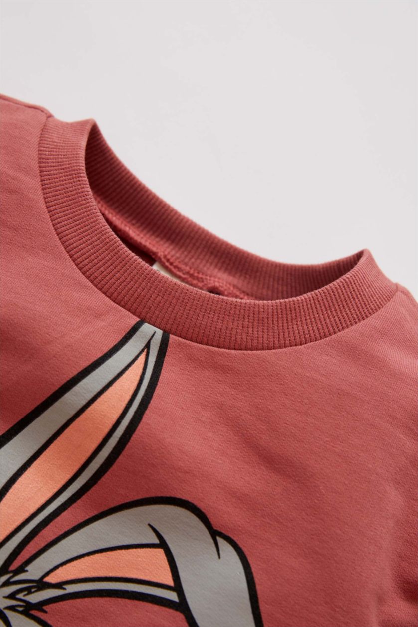 BABY BOY Rose Long Sleeve Bugs Bunny Print Pyjama Set