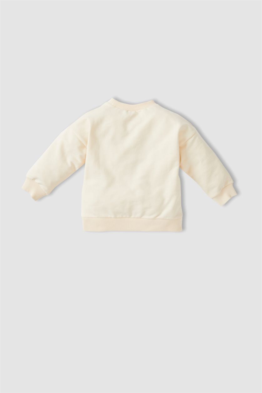 BABY BOY Ecru Regular Fit Long Sleeve Colour Block Sweatshirt