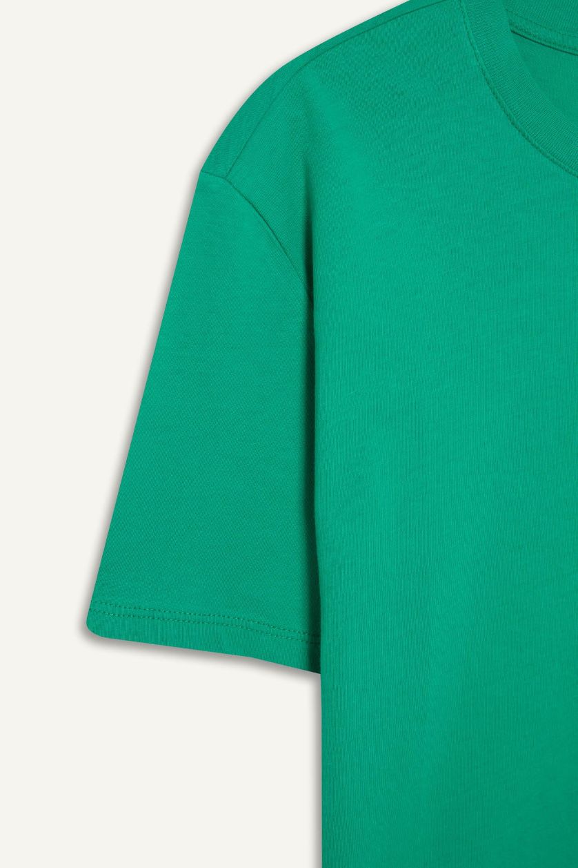 حريمي أخضر تيشيرت بيزك سادة نص كم قصة عادية ورقبة مستديرة