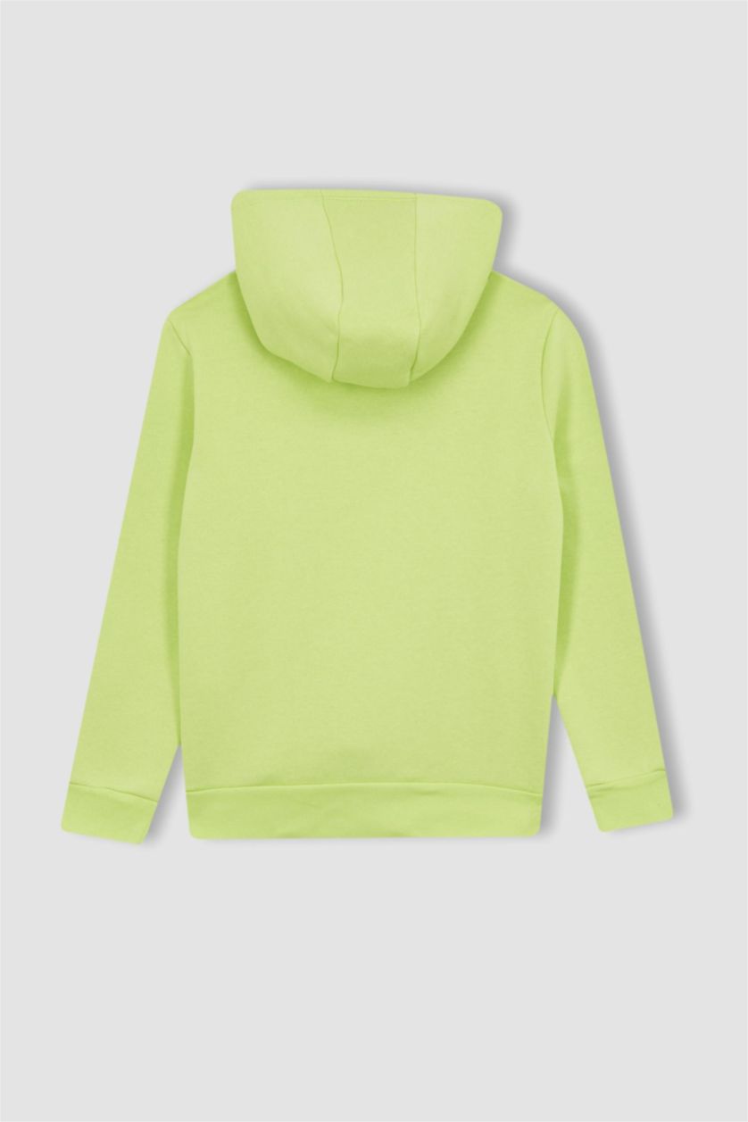 GARÇONS Vert Sweat À Capuche Regular Fit Pour Garçon