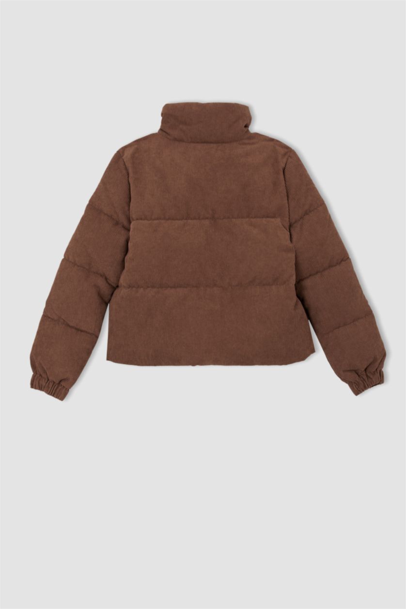 Woman Brown Relax Fit Velvet Puffer Jacket