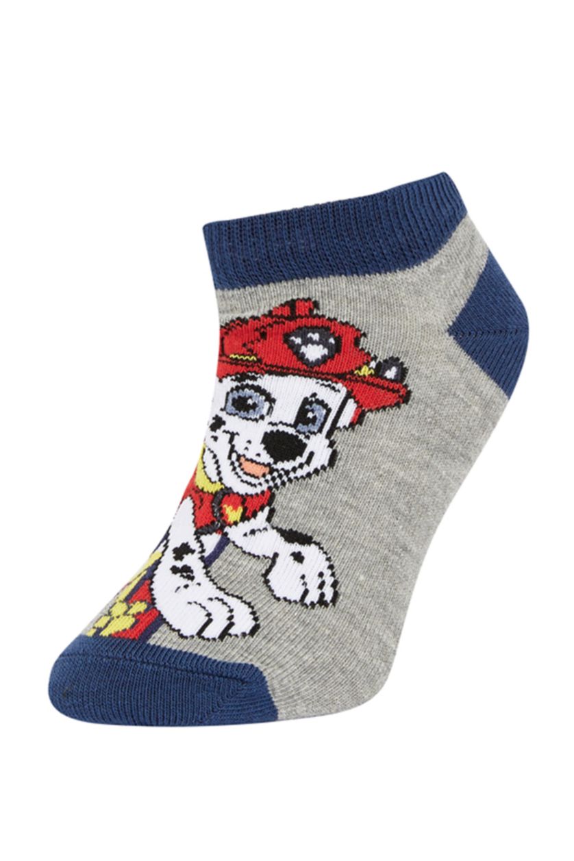 BOYS & TEENS MIXED Boys PAW Patrol Licensed Cotton 3 Pack Short Socks