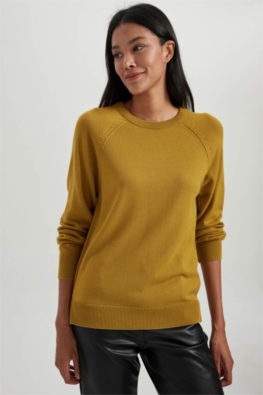 حريمي أخضر بلوفر تريكو بيزك بقصة مريحة بياقة مستديرة