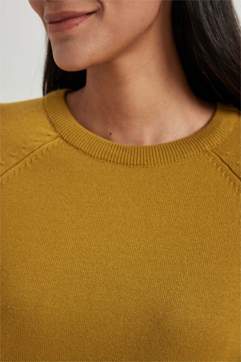 حريمي أخضر بلوفر تريكو بيزك بقصة مريحة بياقة مستديرة