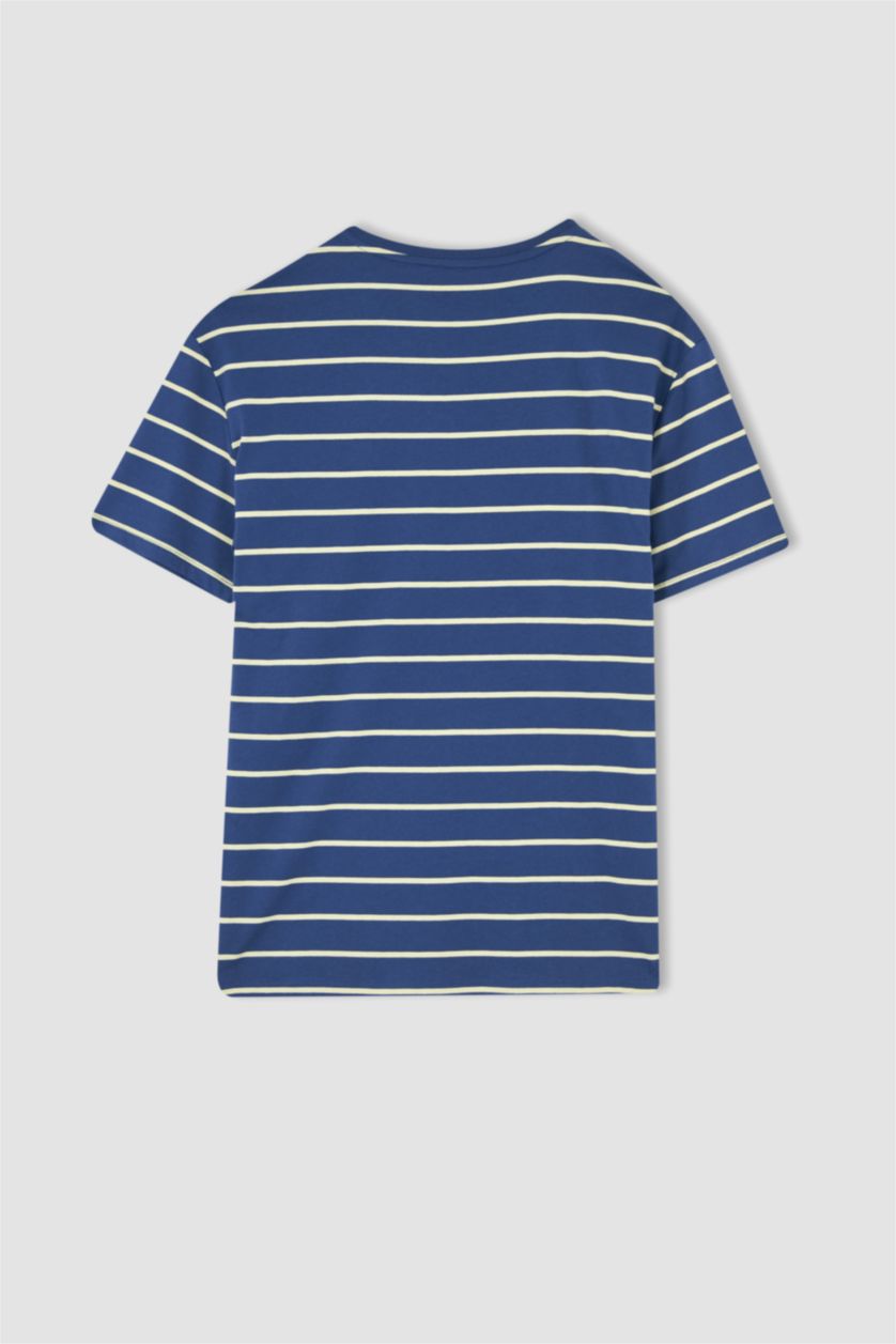 Erkek Mavi Regular Fit Bisiklet Yaka Pamuklu Penye Tişört