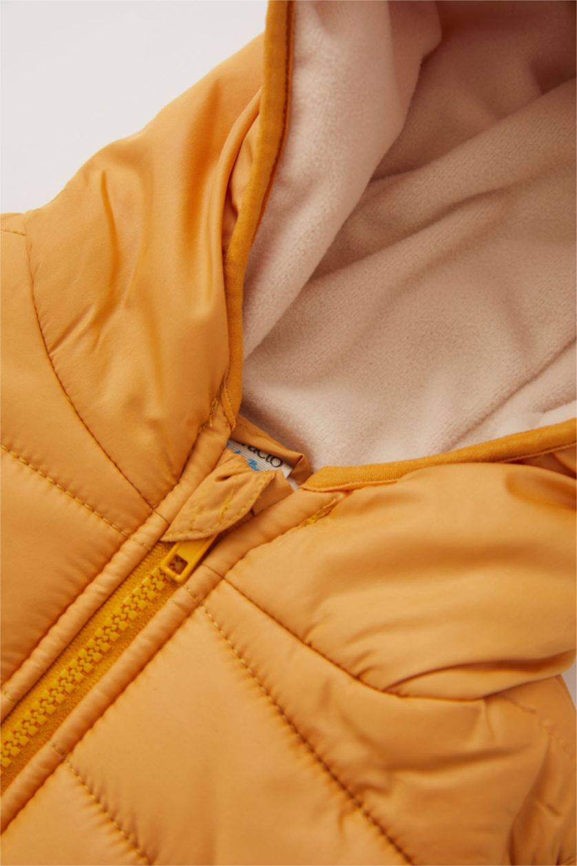 BÉBÉ GARÇON Jaune Foncé Gilet Coupe Régulière À capuche BéBé Garçon