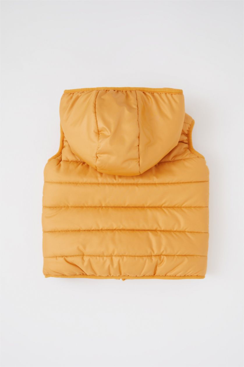 BÉBÉ GARÇON Jaune Foncé Gilet Coupe Régulière À capuche BéBé Garçon