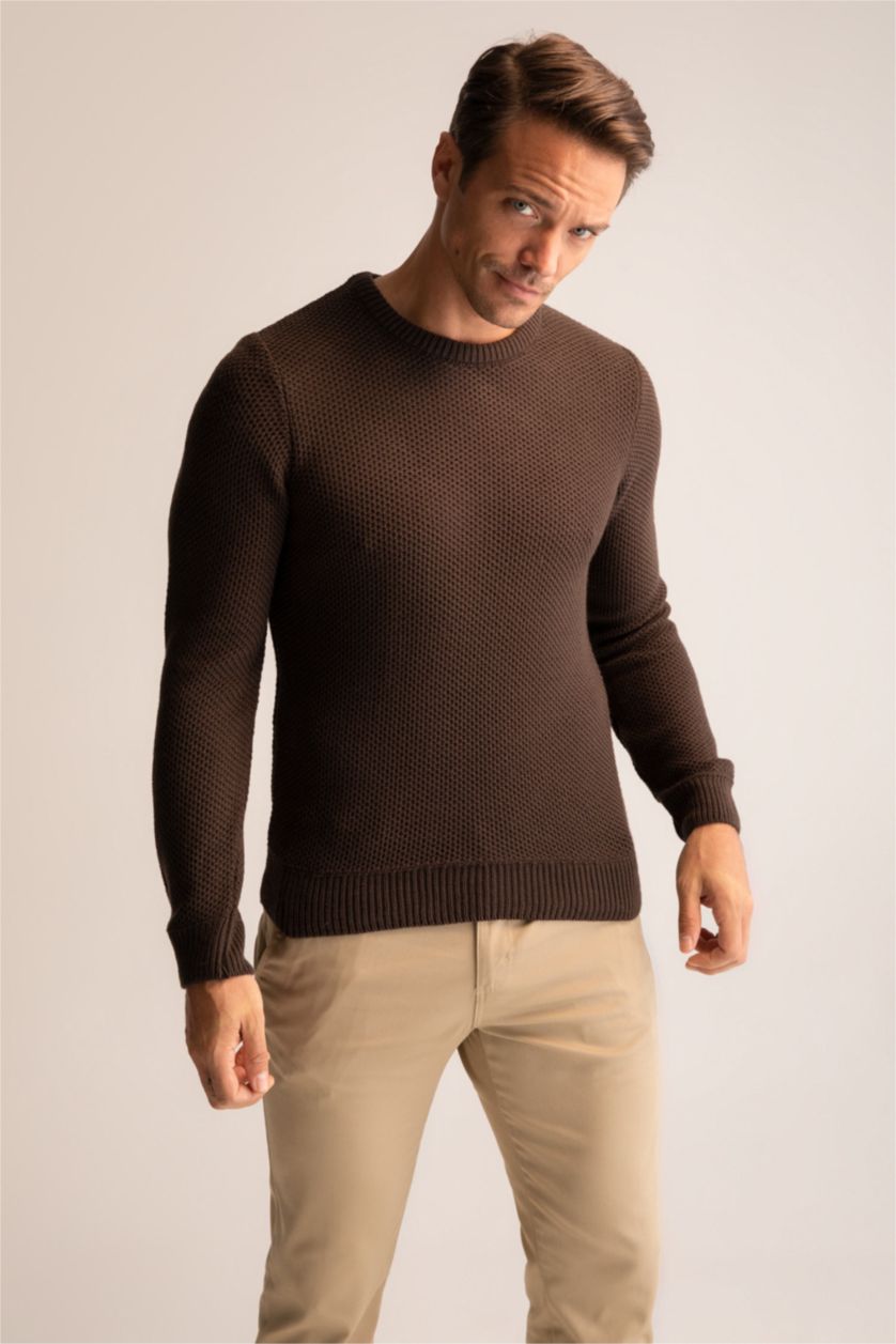 Man Brown Slim Fit Crew Neck Knitwear Pullover