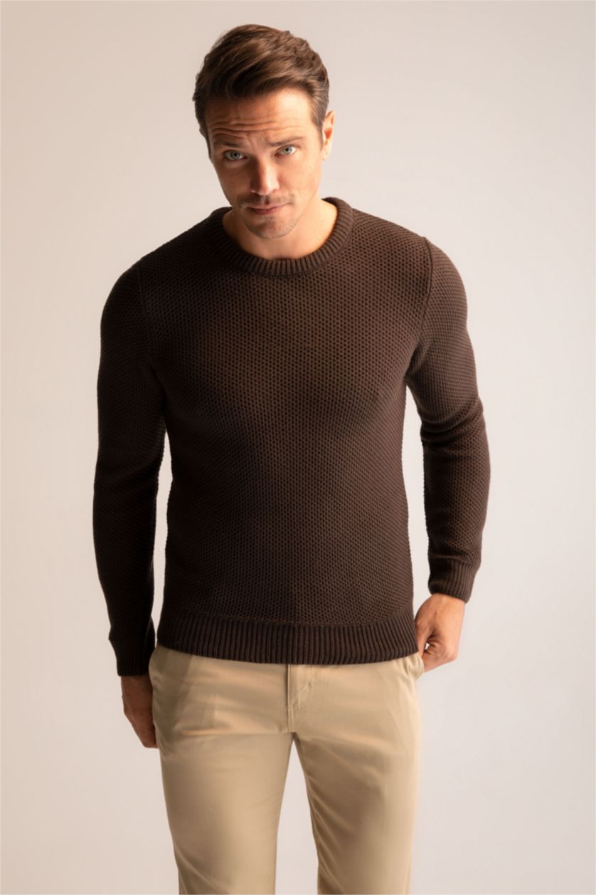Man Brown Slim Fit Crew Neck Knitwear Pullover