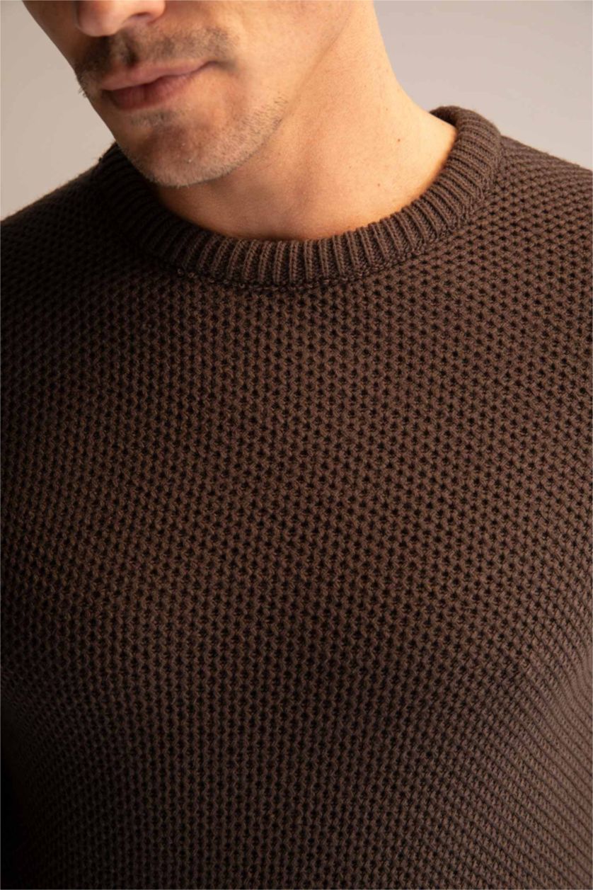 Man Brown Slim Fit Crew Neck Knitwear Pullover