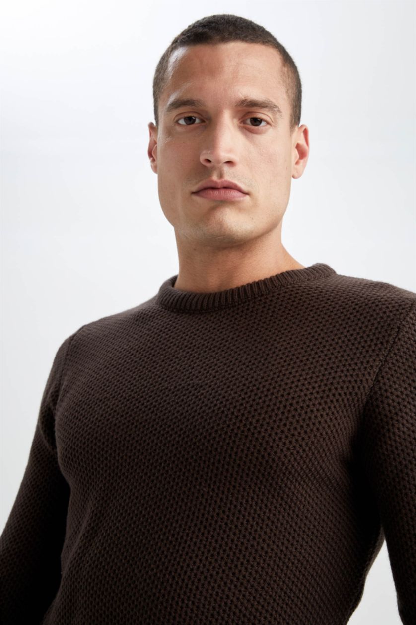 Man Brown Slim Fit Crew Neck Knitwear Pullover