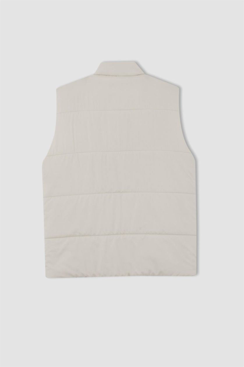 Erkek Taş Slim Fit Yelek