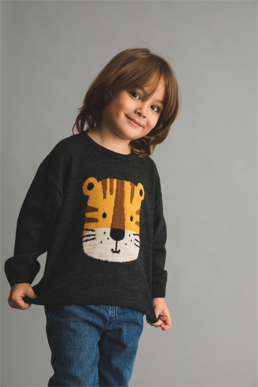 BABY BOY Anthracite Baby Boy Regular Fit Animal Crew Neck Pullover