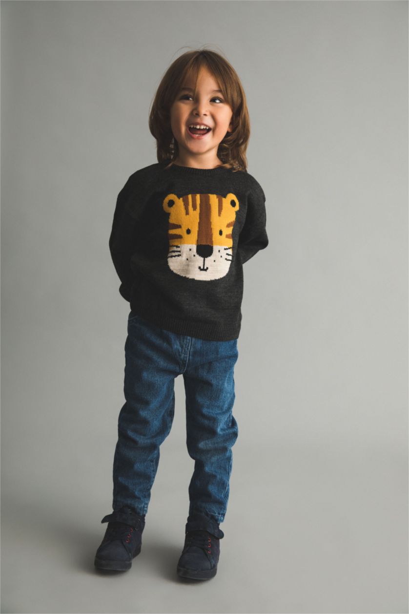 BABY BOY Anthracite Baby Boy Regular Fit Animal Crew Neck Pullover