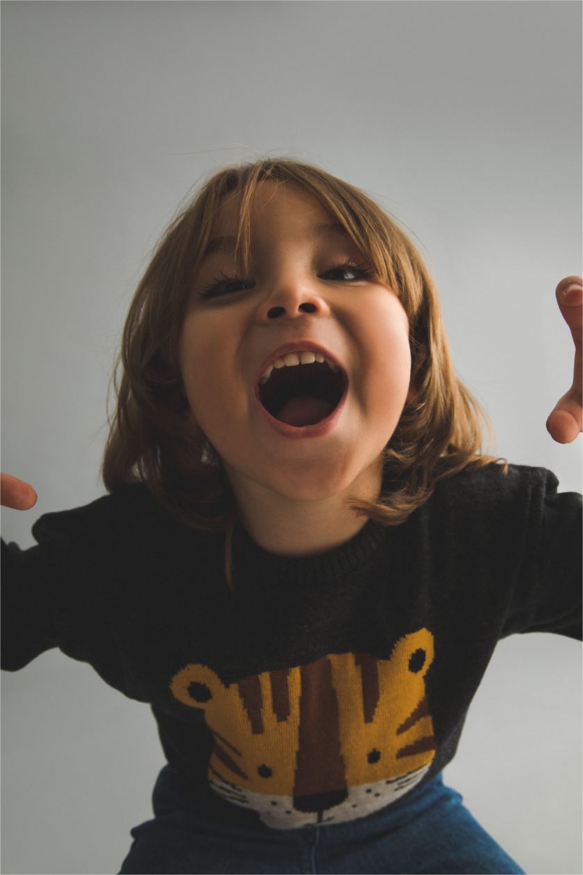 BABY BOY Anthracite Baby Boy Regular Fit Animal Crew Neck Pullover