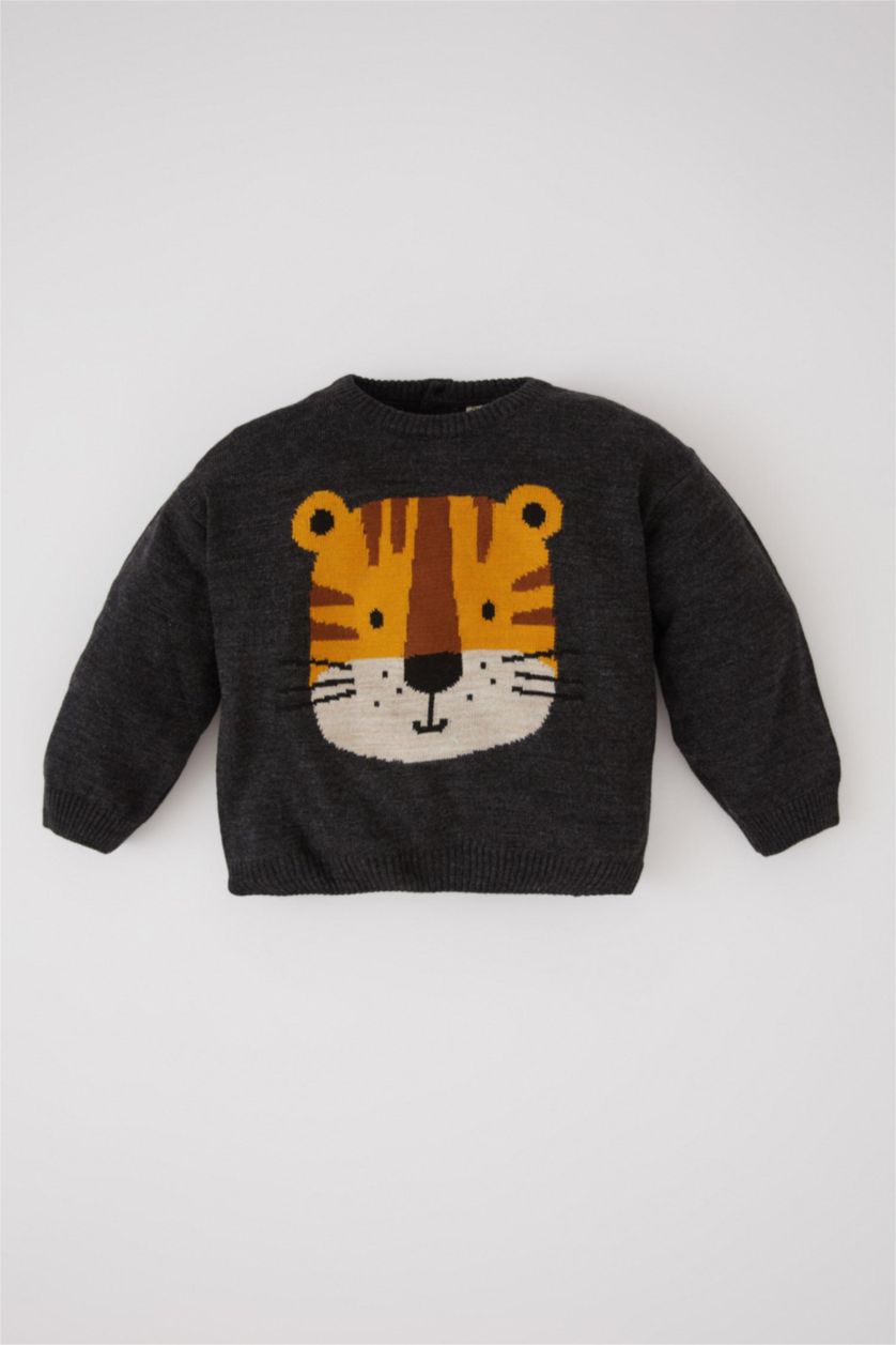 BABY BOY Anthracite Baby Boy Regular Fit Animal Crew Neck Pullover