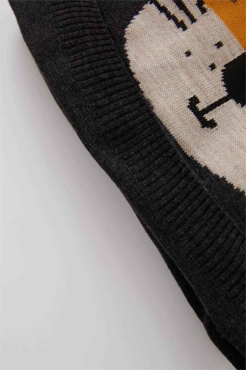 BABY BOY Anthracite Baby Boy Regular Fit Animal Crew Neck Pullover