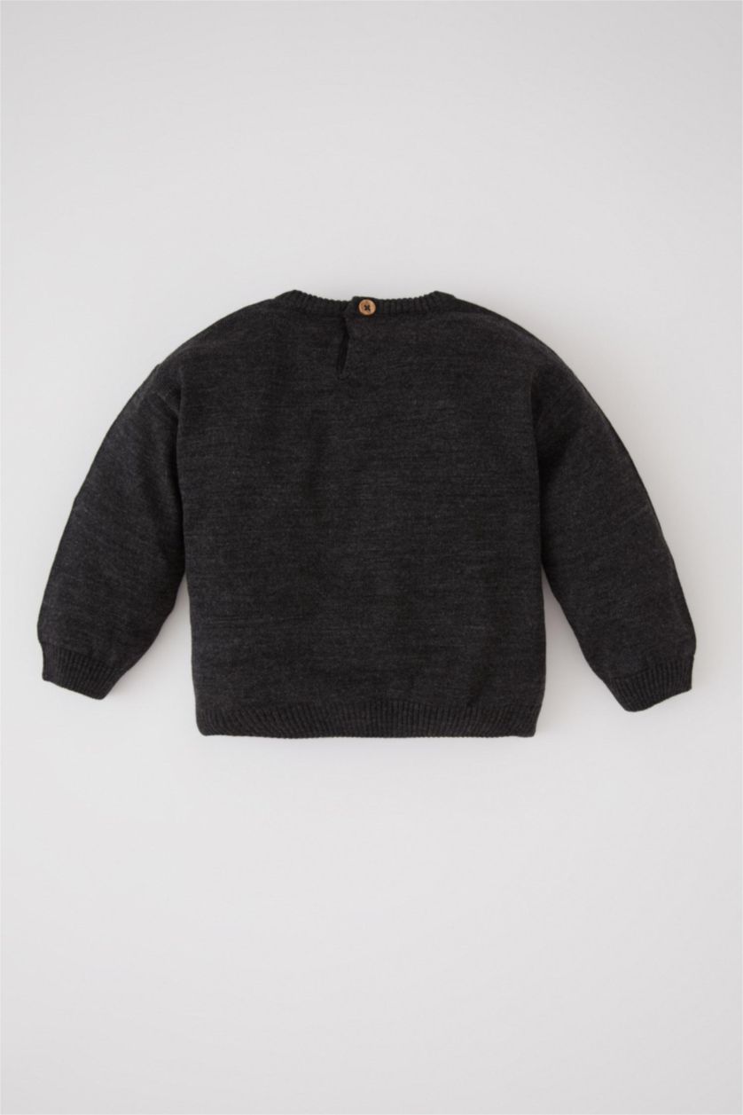 BABY BOY Anthracite Baby Boy Regular Fit Animal Crew Neck Pullover